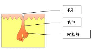 正常な状態