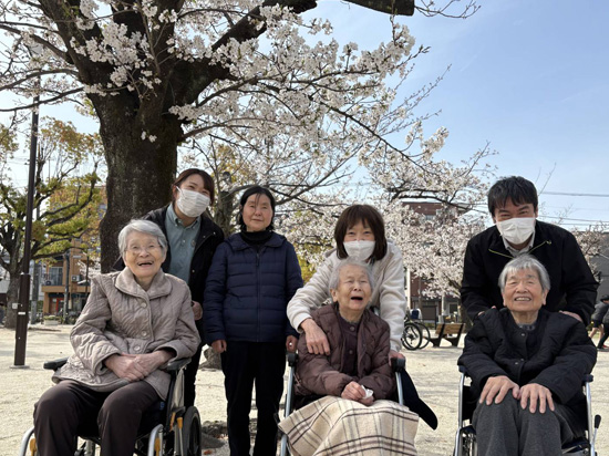 桜さくら