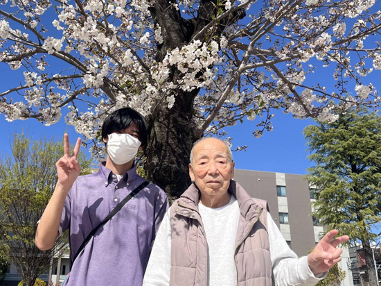 桜さくら