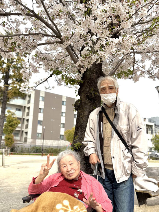 桜さくら