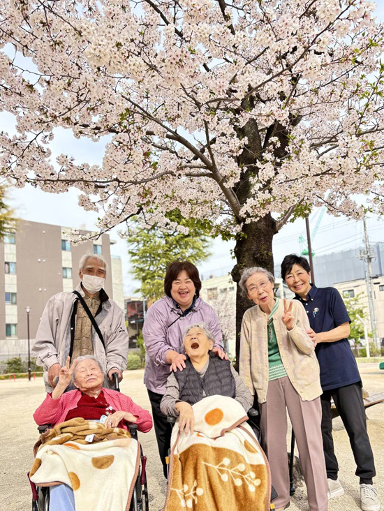 桜さくら