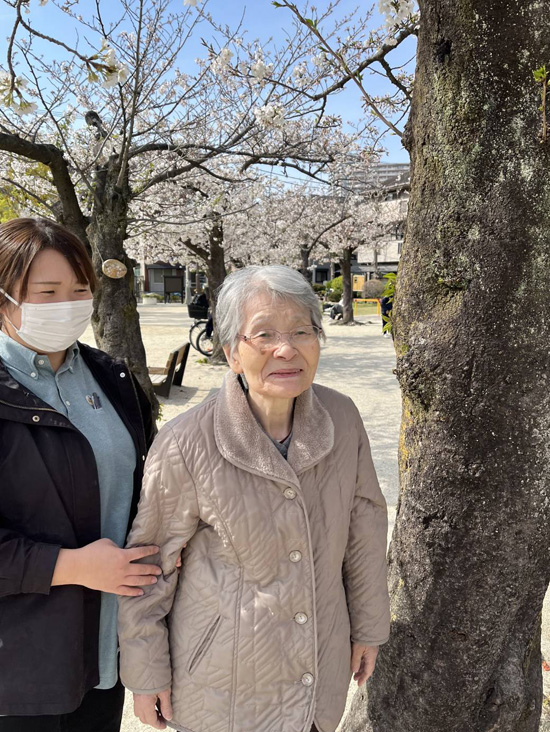 桜さくら