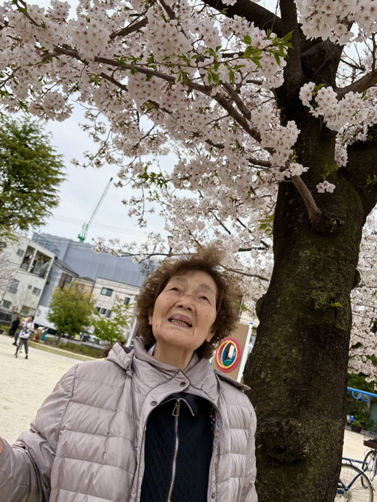 桜さくら