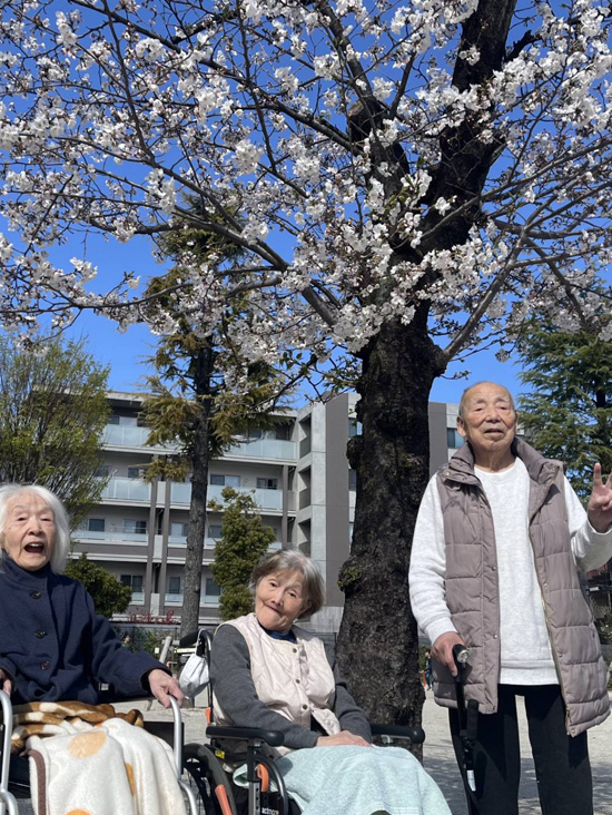 桜さくら