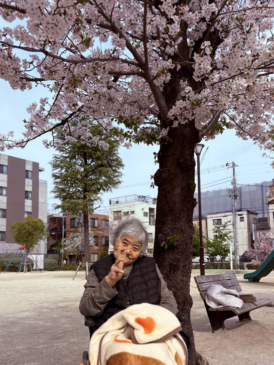 桜さくら