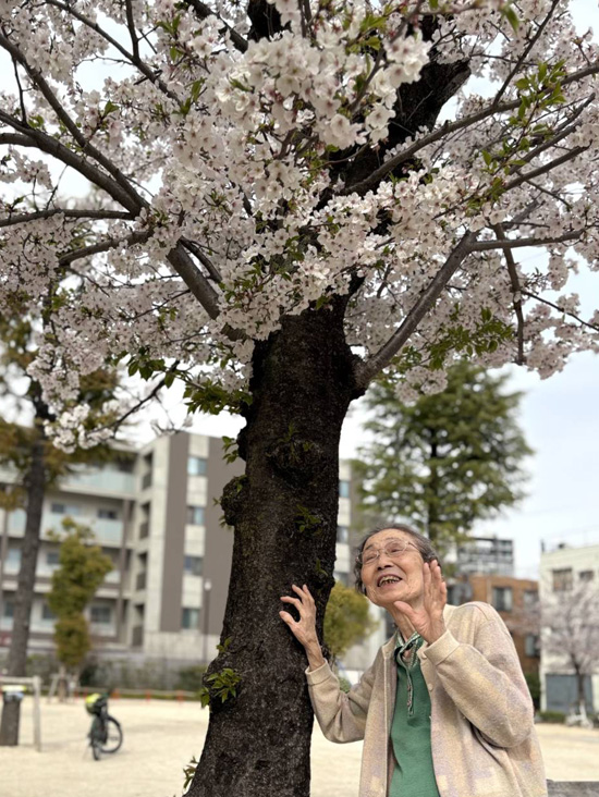 桜さくら