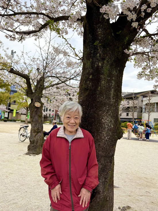 桜さくら