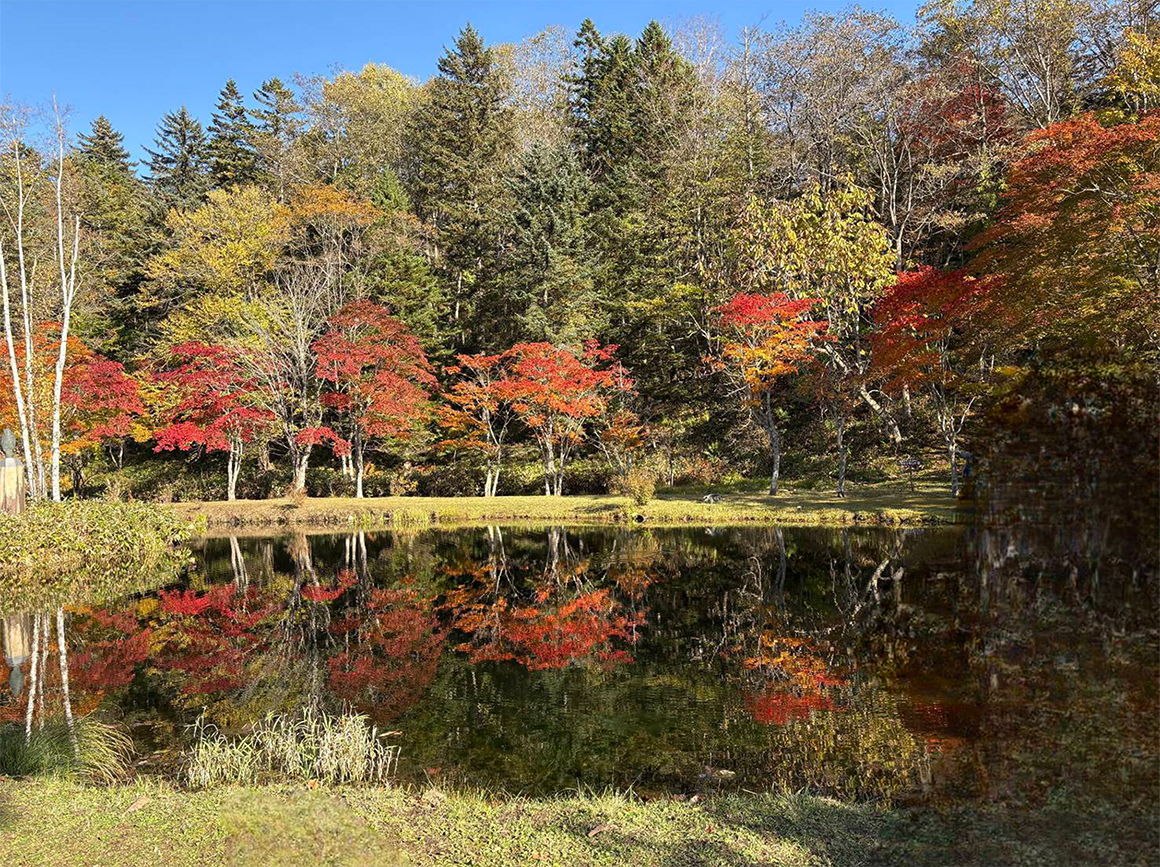 北海道の紅葉